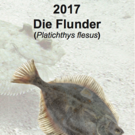 Die Flunder! Fisch des Jahres 2017