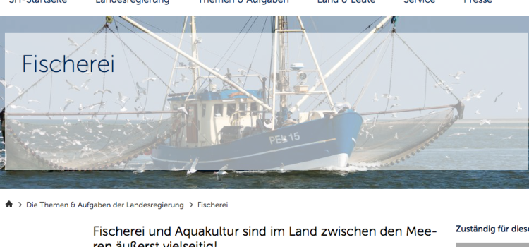 Angler müssen Dorschfänge in der Ostsee ab 2017 begrenzen