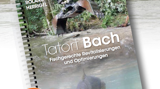 Wieder erhältlich: Tatort Bach!