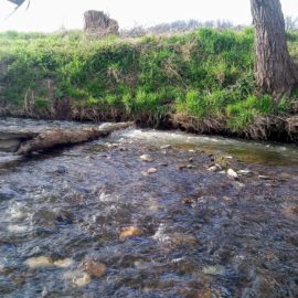 Begradigte Flussabschnitte verändern