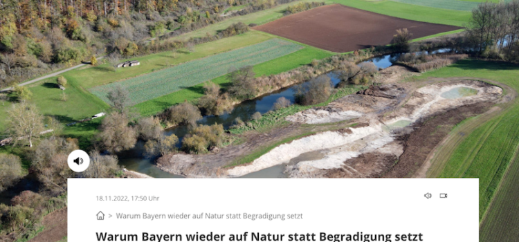 Ökologie und Hochwasserschutz: Renaturierung begradigter Flüsse | Abendschau | BR24