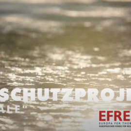 Abschlussbericht ENL Projekt “Alte Saale” 2023