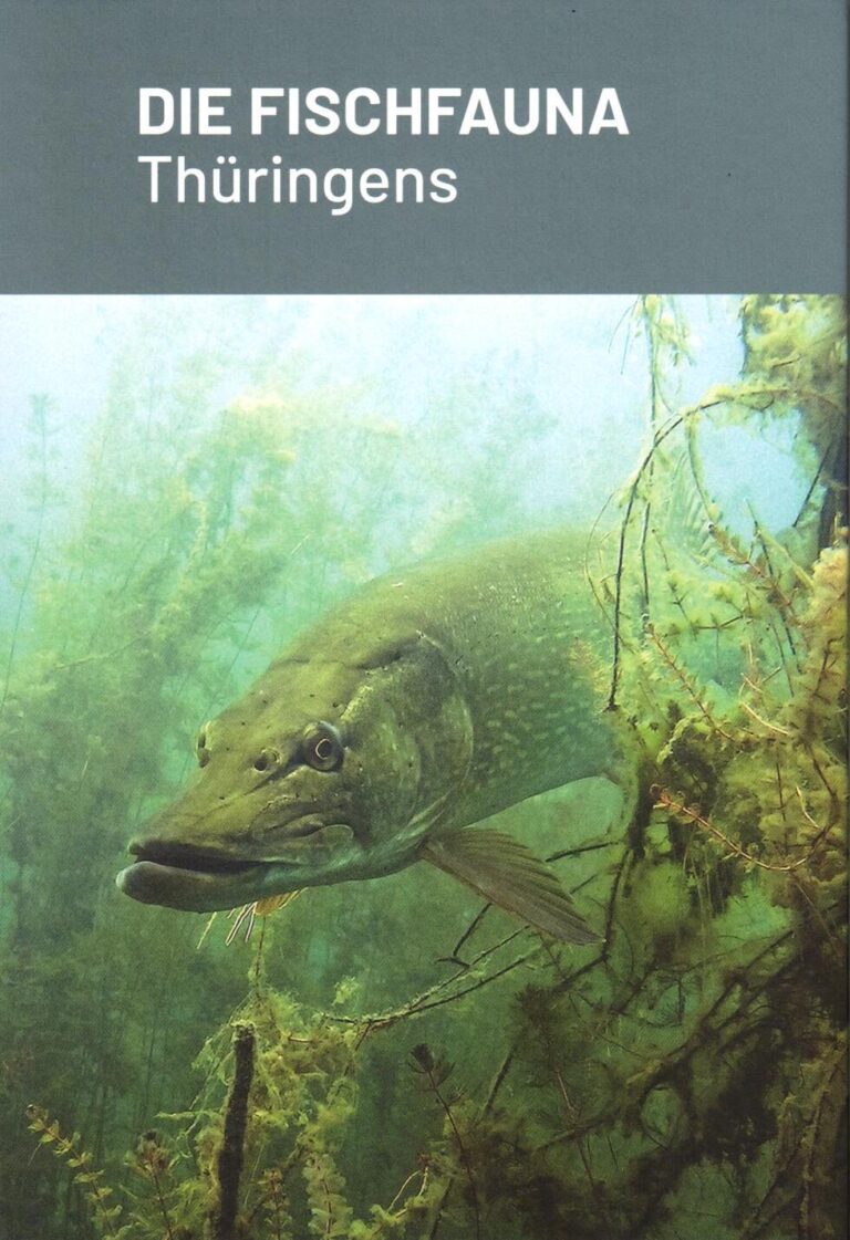 Die Fischfauna Thüringens