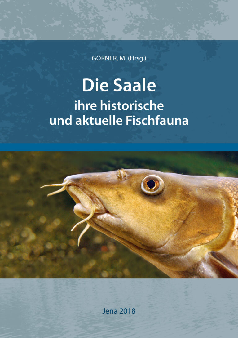 Die Saale